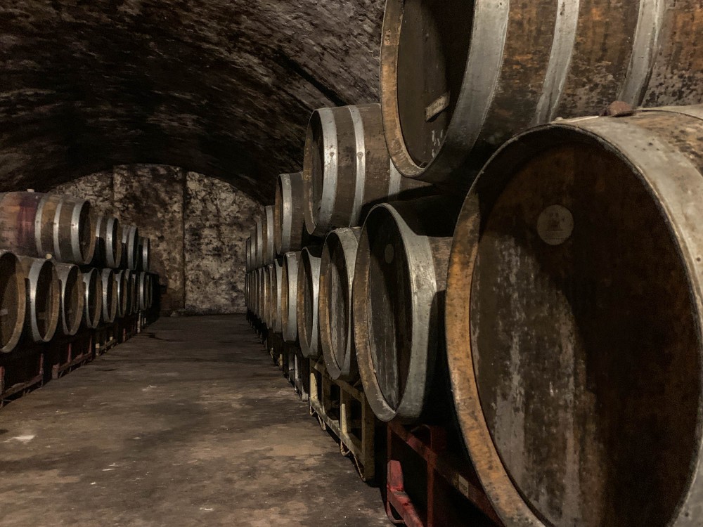 wine barrels in a cellar at Mt Pleasant